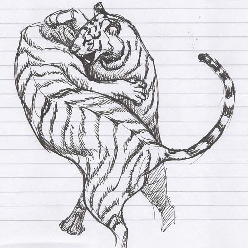 Tiger Sketch2