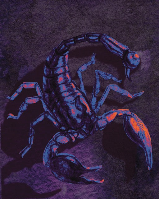 Nightcrawler
